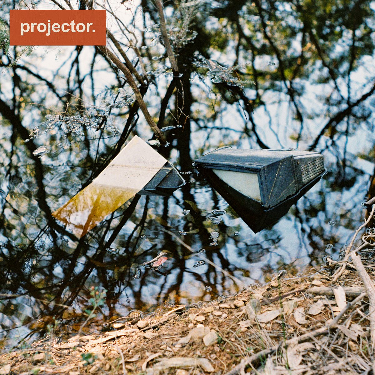 Riddles cover art: two abandoned projectors floating in still water